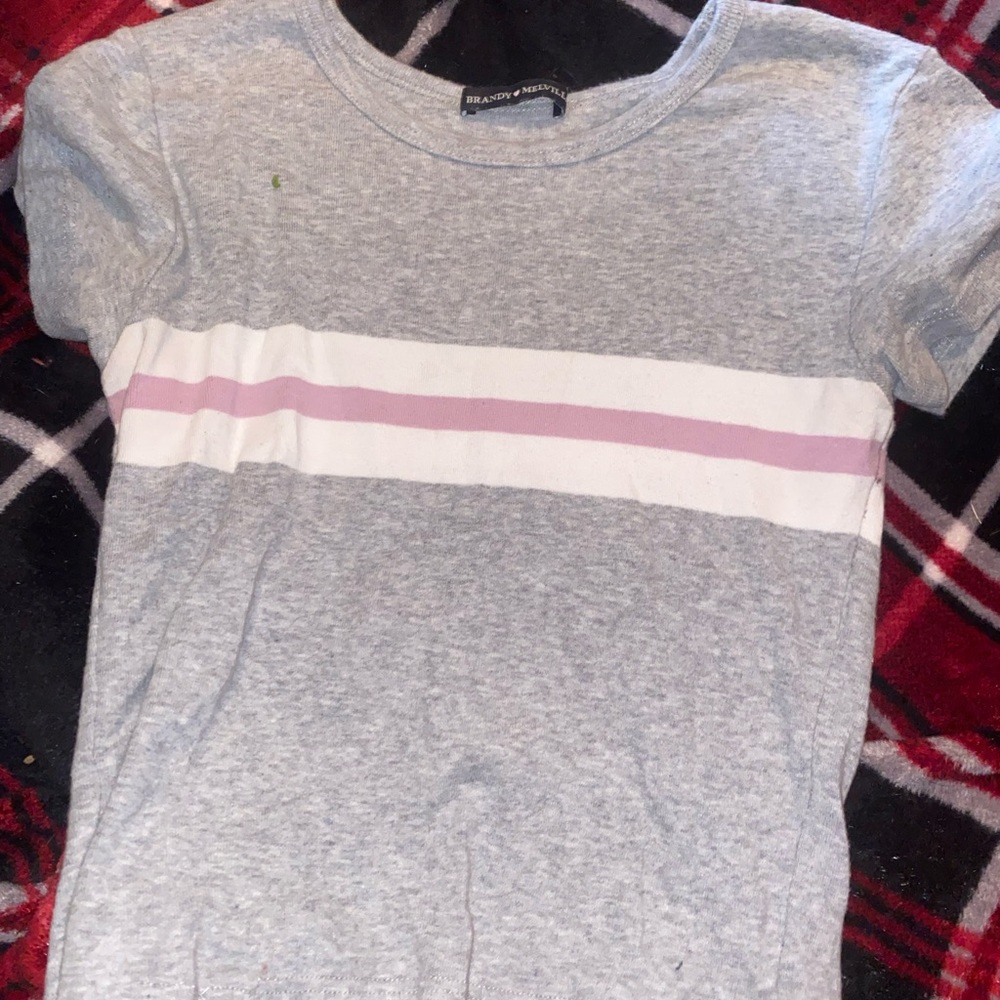 Brandy Melville Crop Top